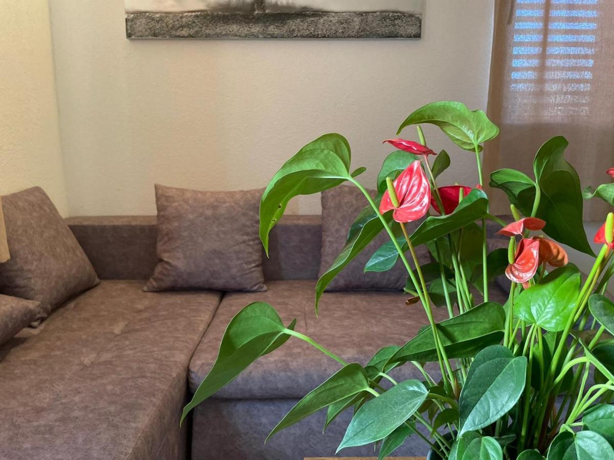 Studio Apartment Dona Trogir Zewnętrze zdjęcie